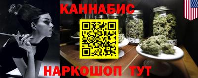 индика Кулебаки