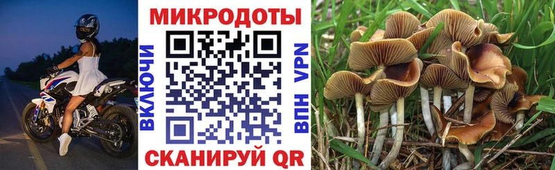 Псилоцибиновые грибы GOLDEN TEACHER  Сланцы 