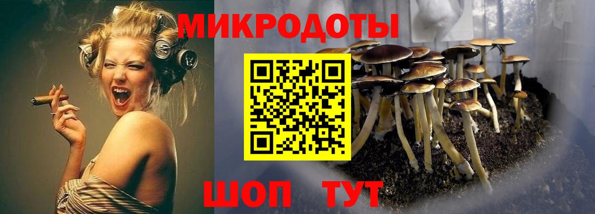 Сланцы  Псилоцибиновые грибы Psilocybine cubensis  Вход с VPN  Галлюциногенные грибы ЛСД 