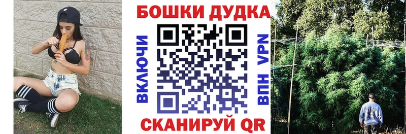 Каннабис THC 21%  продажа наркотиков  Сланцы 